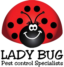 Organic Pest Control in Phoenix AZ